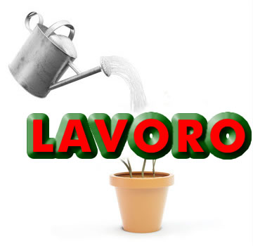 Lavora con noi